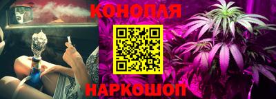 мдма Можга