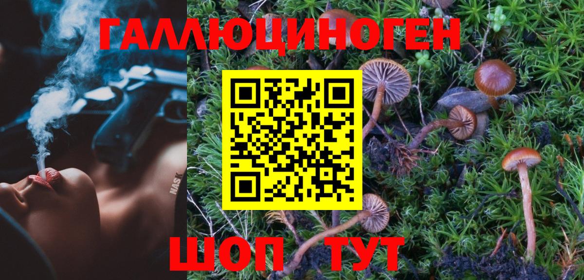 Советский  Псилоцибиновые грибы GOLDEN TEACHER  что такое   Галлюциногенные грибы прущие грибы  Вход с VPN 